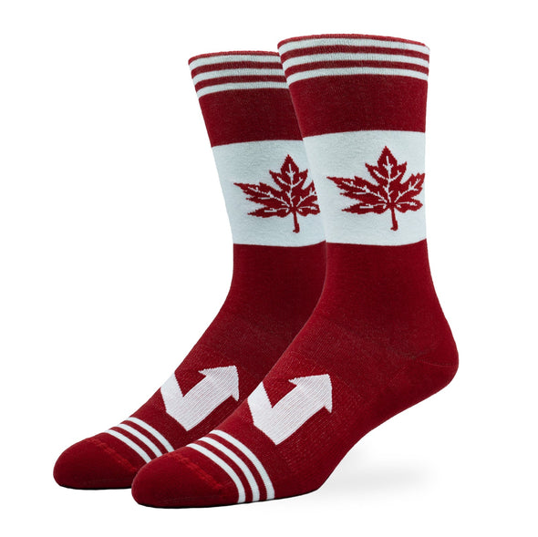 SILVER CREW SOCKS | THE NORTH